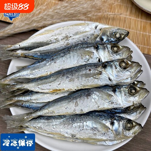 福建东山岛淡晒巴浪鱼干新鲜晾晒小鱼干巴浪鱼干炒菜配酒海产干货