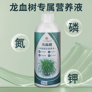 龙血树专用营养液龙须树防烂根防黄叶通用型水溶肥家庭花卉盆载