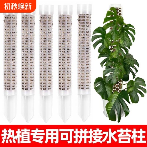 水苔柱可拼接爬藤植物攀附柱绿绒攀爬柱固定支架