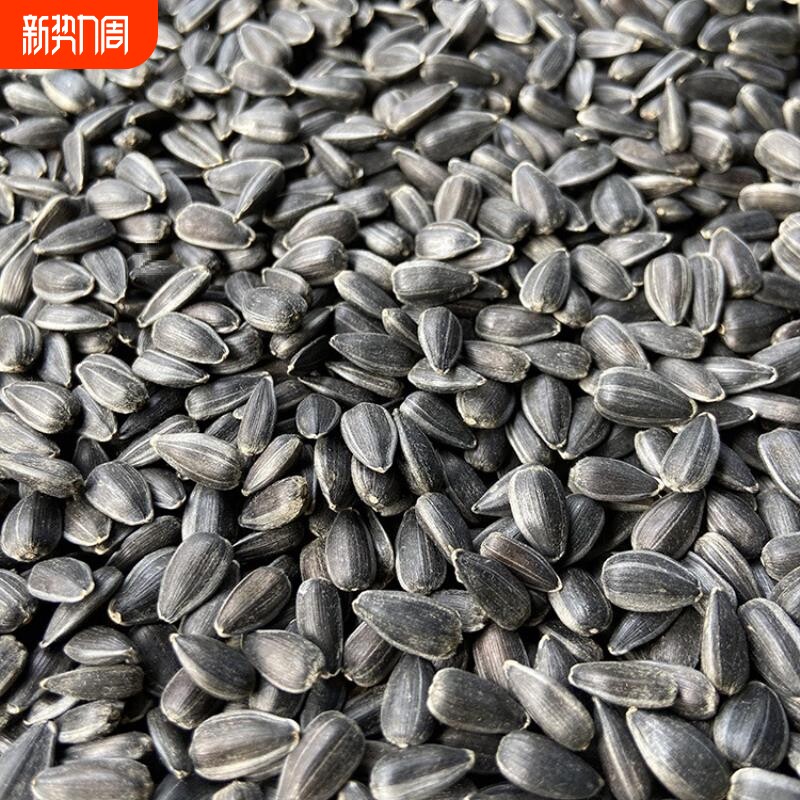生油葵黑珍珠小瓜子油葵籽 鹦鹉鸟食仓鼠零食鸟粮鸽粮 包邮5斤