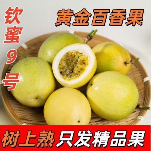 钦蜜9号黄金百香果新鲜水果包邮