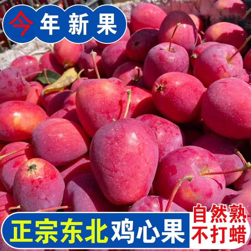 正宗东北鸡心果沙果甜脆好吃图片
