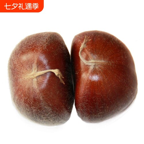 正宗河北唐山迁西板栗生新鲜栗子3113燕山油栗子产 包粽子