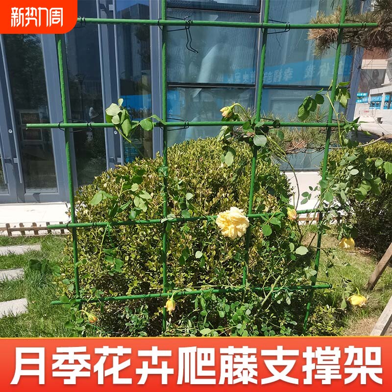 花架爬藤架庭院西红柿黄瓜植物番茄月季铁线莲种植菜攀爬架支撑架