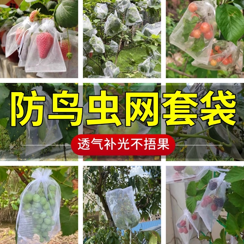 水果套袋果树防虫纱网套袋葡萄无花果草莓番石榴琵琶保护罩子套袋