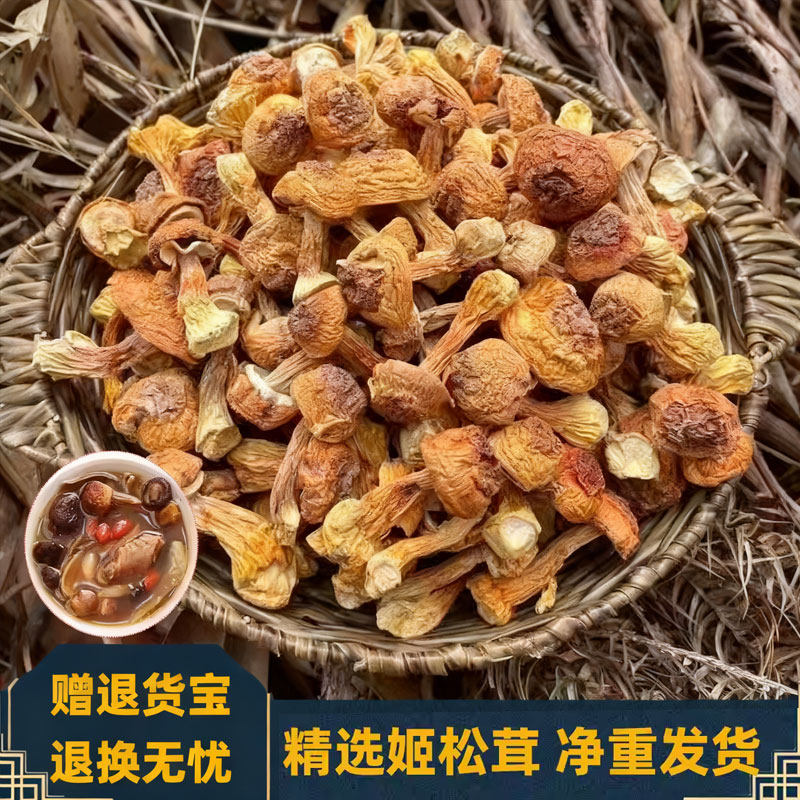 姬松茸干货鲜姬松茸菌干煲汤食材图片