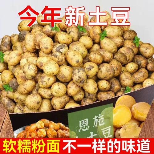 恩施富硒小土豆新鲜现挖