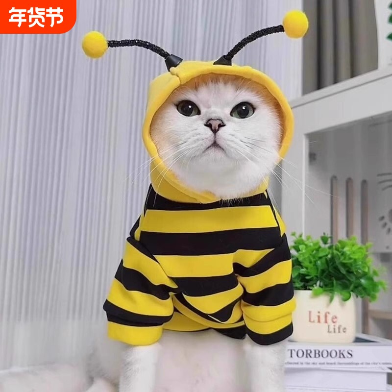 猫咪衣服秋冬款蜜蜂装银渐层布偶英短起司小型犬宠物保暖狗狗卫衣