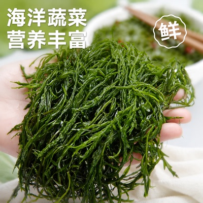 鞭炮笋马尾藻长寿菜凉拌菜盐渍火锅麻辣烫炮仗笋海草鞭无添加凉菜