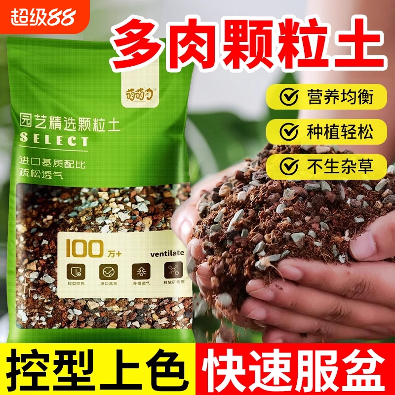 多肉专用颗粒土多肉植物营养土盆栽铺面石叶插纯颗粒种植土壤黄金