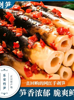 2026新笋网红手剥笋竹笋即食手拨新鲜嫩脆笋尖零食袋装泡椒解馋