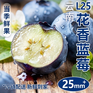 包邮 鲜果 水果l25整箱大果产地直发顺丰 云南蓝莓新鲜水果高山当季