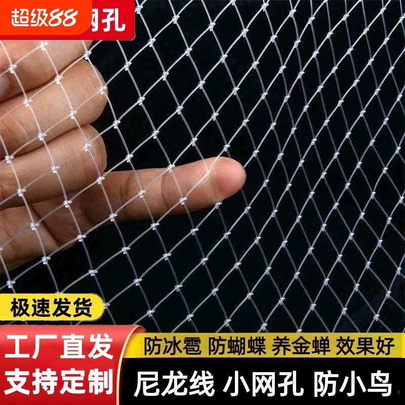 小孔阳台防鸟网蝴蝶果园天网果树樱桃葡萄防鸟罩尼龙金蝉养殖网纱