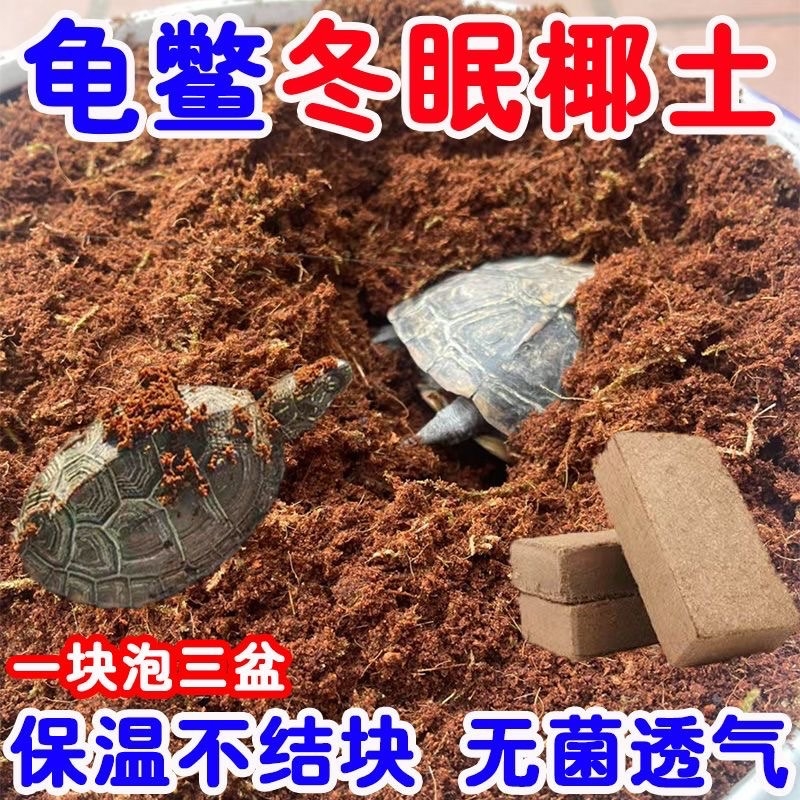 椰砖营养土乌龟冬眠爬宠椰糠土干苔藓饲养箱缸过冬装备寄居蟹专用