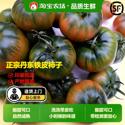 正宗丹东草莓柿子5斤西红柿新鲜碱地铁皮柿子自然熟生吃水果番茄
