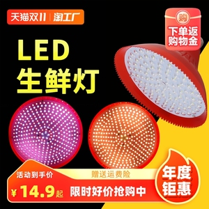 led生鲜猪肉灯超市冷鲜肉灯卤菜卤肉熟食灯水果蔬菜店海鲜专用灯