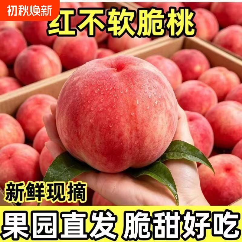 【大果/5斤】山西运城特产水蜜桃