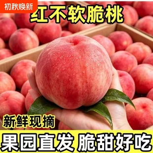 【大果/5斤】山西运城特产水蜜桃