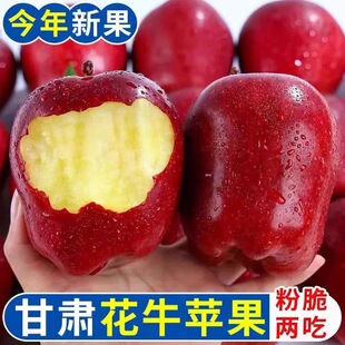 天水花牛苹果现摘水果新鲜当季 黑卡蛇果粉脆香甜红苹果水果 应季