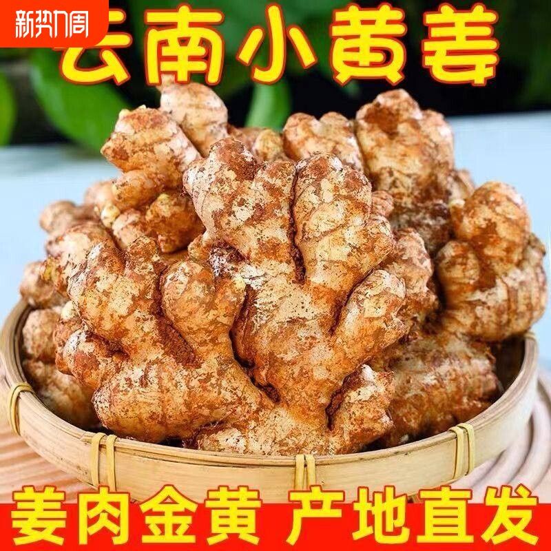 云南小黄姜新鲜精品生姜现挖高山沙姜土姜种子蔬菜