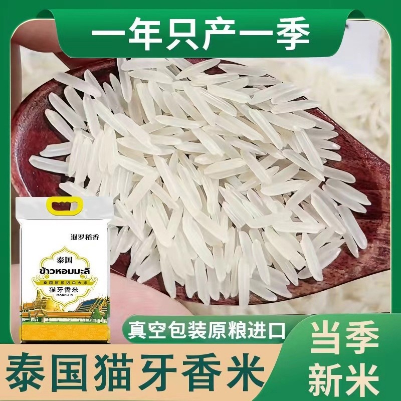 原粮泰国大米香米猫牙米泰甄进口长粒茉莉香米新米真空包装10斤装