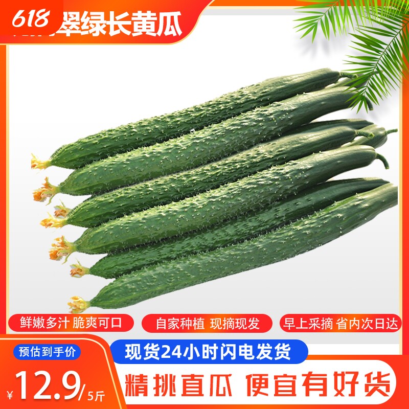 山东当季现摘黄瓜新鲜农家自种蔬菜小青瓜带刺长黄瓜5斤整箱包邮
