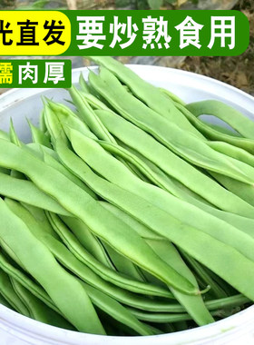 新鲜扁青豆角肉厚无丝现摘脆嫩