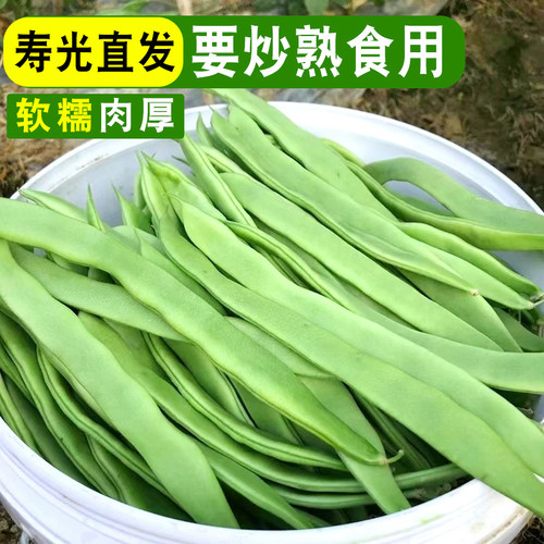 新鲜扁青豆角肉厚无丝现摘脆嫩