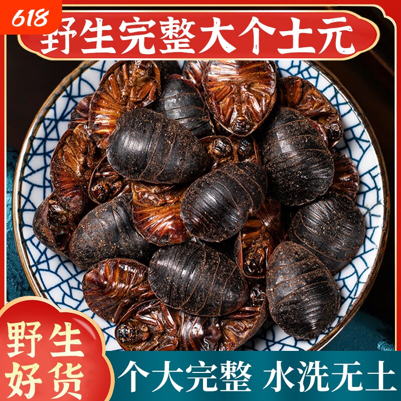 正品土元中药材野生土鳖虫土元干中华土鳖虫粉土元粉地鳖虫药用