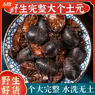 正品土元中药材野生土鳖虫土元干中华土鳖虫粉土元粉地鳖虫药用