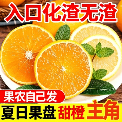 【现摘夏橙】新鲜湖南江永夏橙蜜橙新鲜水果柑橘榨汁手剥橙子大果
