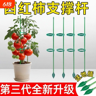 盆栽番茄支撑架西红柿专用架子阳台种菜黄瓜辣椒龟背竹爬藤搭架杆