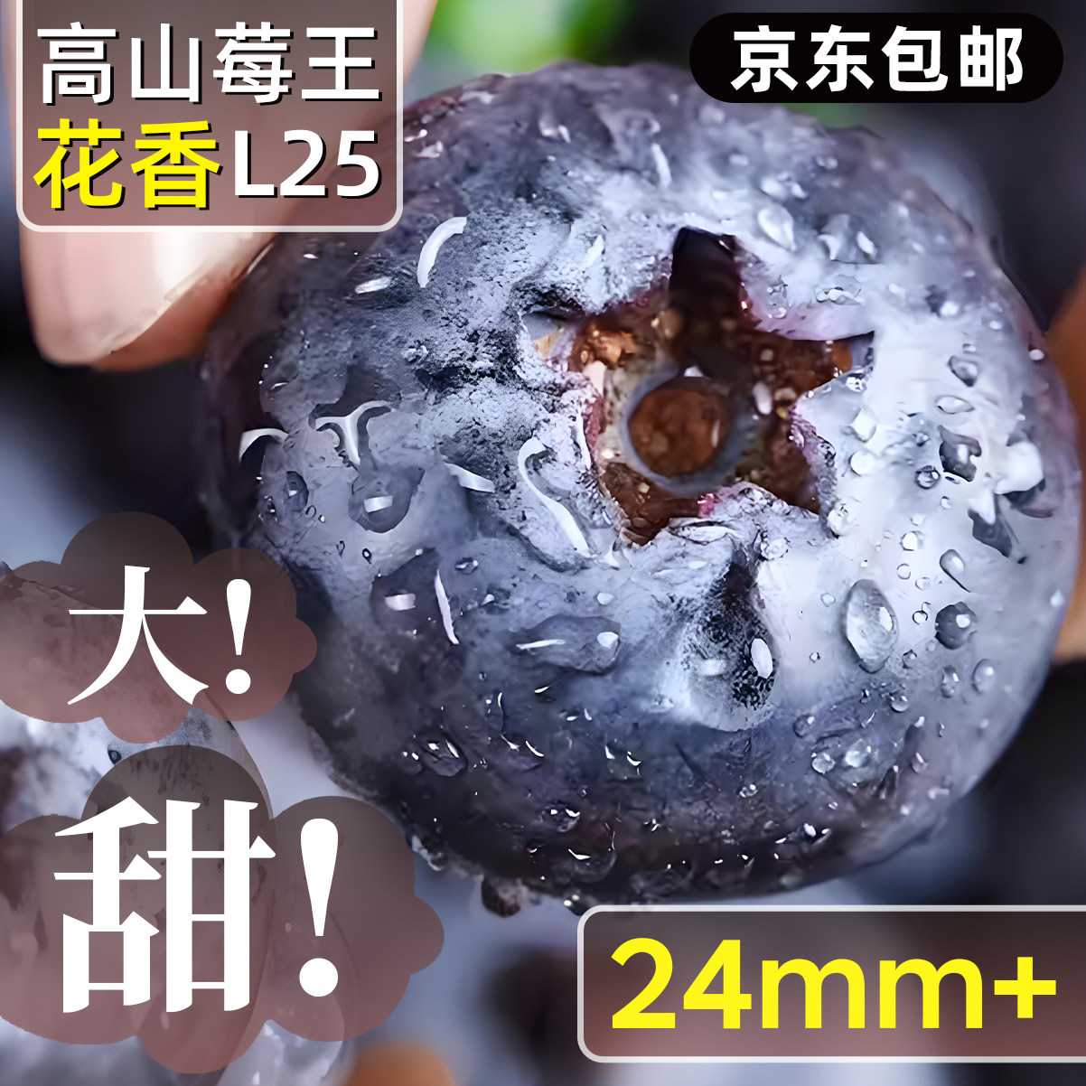 云南高山花香蓝莓头茬鲜果特大果怡佳颗沃应当季水果整箱包邮,水产肉类/新鲜蔬果/熟食,蓝莓,淘宝优惠券,粉丝福利购,淘宝优惠卷