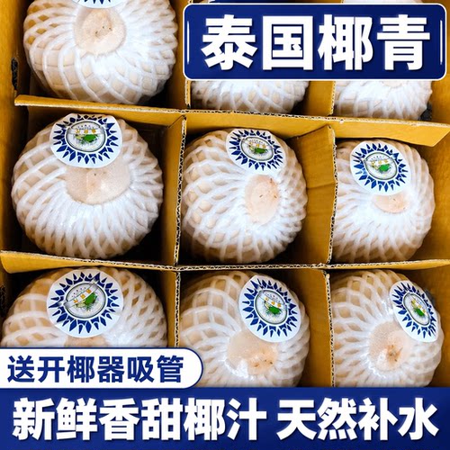 泰国进口椰青9个超大果香椰香水椰新鲜椰汁网红椰子水果包邮当季