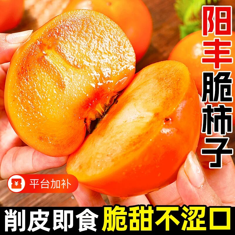 阳丰脆柿巧克力脆柿子新鲜当季冰糖心甜柿果园现摘脆甜不涩整箱