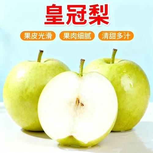 皇冠梨脆甜爆汁皮薄光滑 果肉细腻清甜多汁水果整箱 非砀山梨雪梨