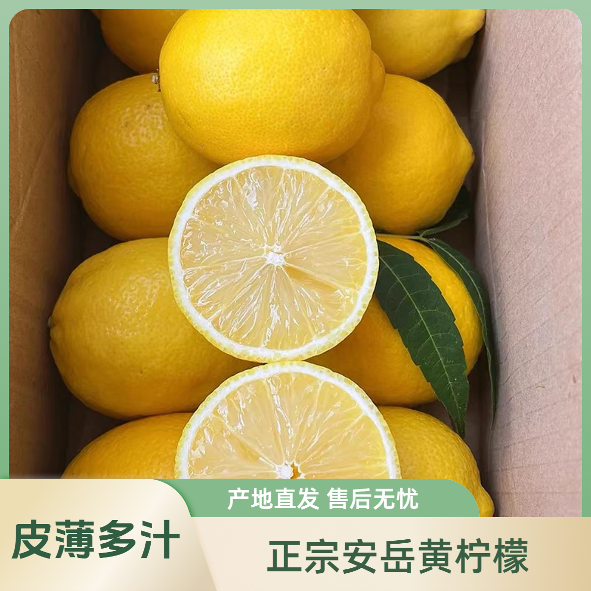安岳新鲜黄柠檬皮薄多汁自然酸爽榨汁泡水VC水果农家采摘大果现摘