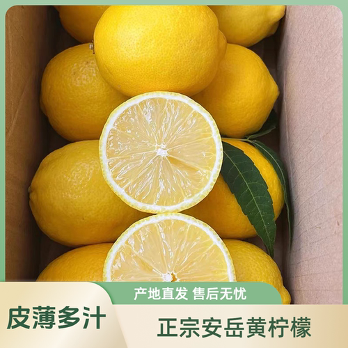 新鲜黄柠檬农家采摘泡水榨汁水果