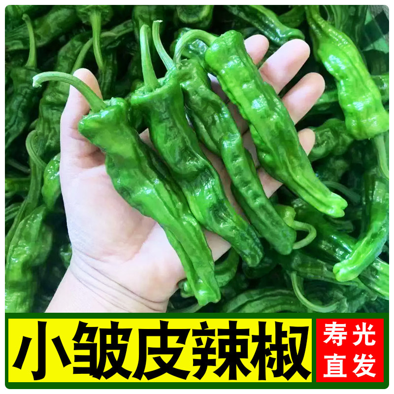 香辣小皱皮辣椒薄皮辣椒春秋四季家庭蔬菜产地直发包邮,水产肉类/新鲜蔬果/熟食,辣椒,淘宝优惠券,粉丝福利购,淘宝优惠卷