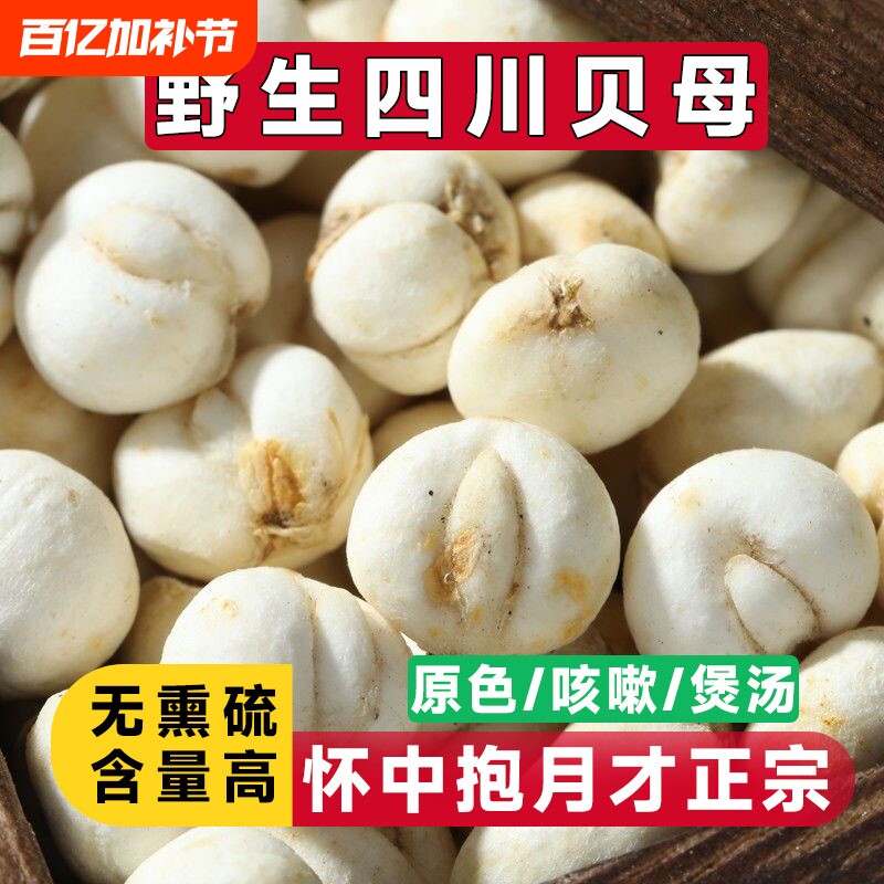 四川川贝母中药材野生川贝正品粒贝母粉止咳煲汤炖梨汤润喉肺贝母