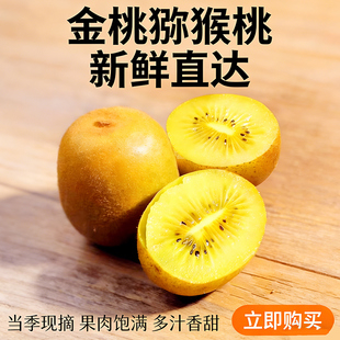 黄心猕猴桃新鲜包邮大果奇异果鲜果阳光金果孕妇水果猴猕桃弥猴桃
