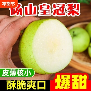 梨子新鲜水果砀山青梨皇冠梨当季翠冠梨香酥脆蜜早雪梨整箱包邮