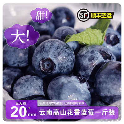 云南高山花香蓝莓一斤装