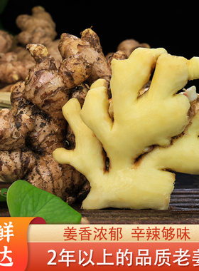 云南正宗小黄姜新鲜生姜