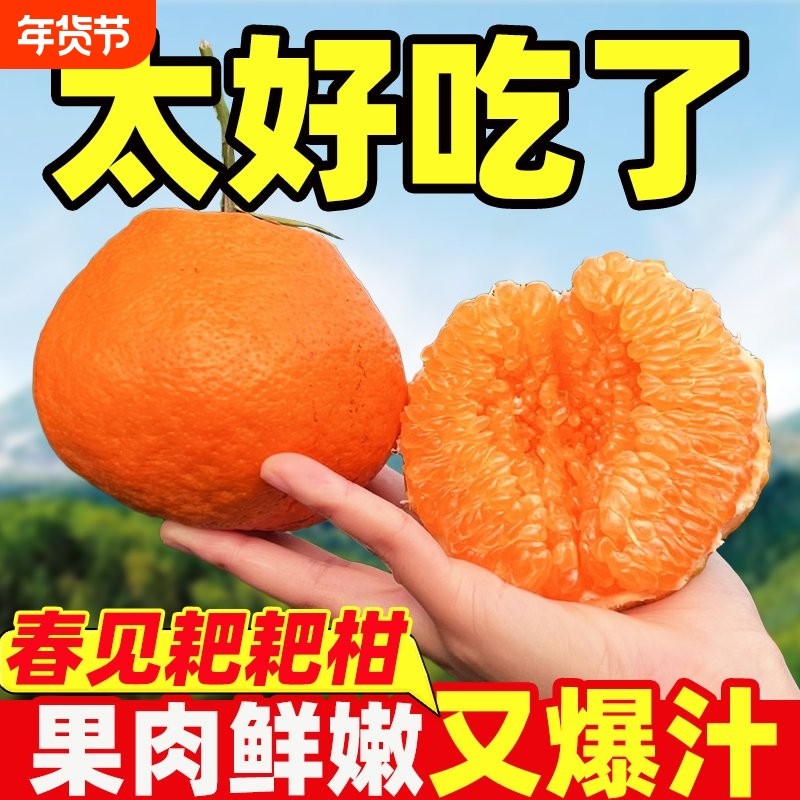 正宗四川眉山春见粑粑柑丑甜橘子桔子当季新鲜水果孕妇整箱批发,水产肉类/新鲜蔬果/熟食,桔子,淘宝优惠券,粉丝福利购,淘宝优惠卷