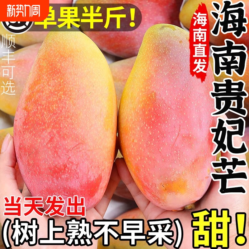 正宗海南贵妃芒果新鲜大果9斤应季时令水果树上熟红金龙整箱包邮