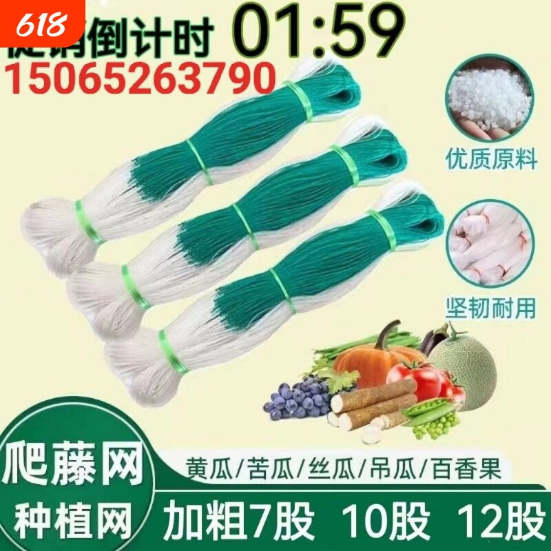 黄瓜苦瓜丝瓜吊瓜山药豌豆百香果瓜豆角爬藤网植物种植网农用蔬菜