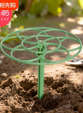 植物支架/太阳花A1vo001-棒棒糖单层支撑架植物造型爬藤固定架
