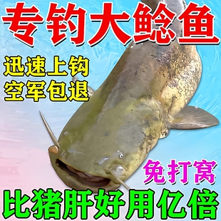 鲶鱼疯钓小药饵料野钓胡子鲶大口鲶塘鲺饲料打窝料诱食剂钓饵黑鱼