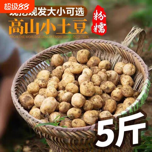 土豆新鲜恩施现挖黄心土豆洋芋农家自种蔬菜马铃薯960g/5/9斤批发